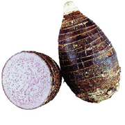 TARO POWDER TARO POWDER