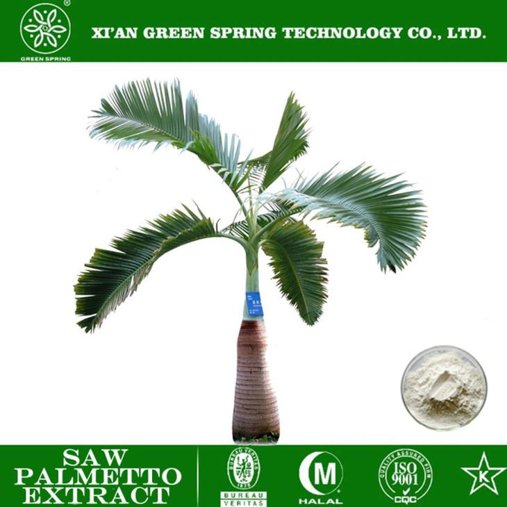Saw Palmetto Extract