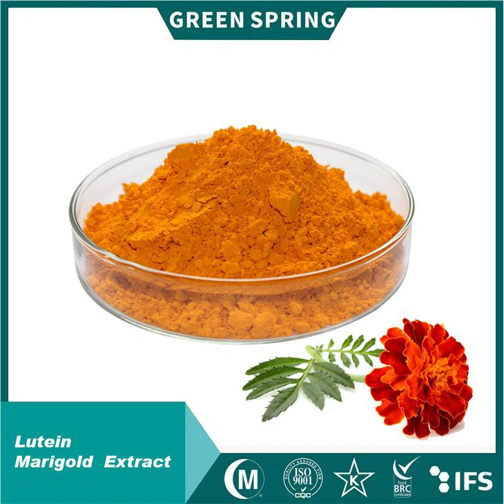 مسحوق إستر اللوتين|5 ٪ -80 ٪ HPLC|مستخلص MARIGOLD|صحة العين وحماية الضوء الأزرق|غير المعدل وراثيا ، ISO 22000 مورد معتمد