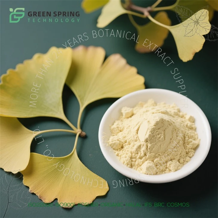 Pharmaceutical-Grade Ginkgo Powder